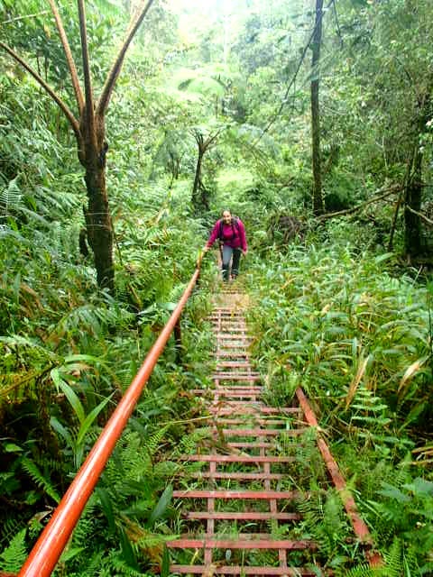 Mount Kitanglad & Mount Dulang‑Dulang